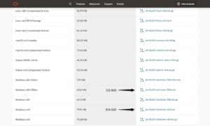 What is Java Runtime Environment? - UseMyNotes