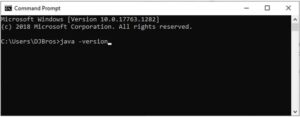 How to Install Java on Windows 10? - UseMyNotes image.