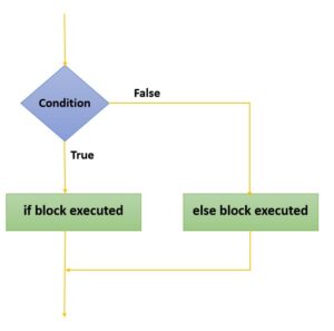 5 Decision Making Statements in C Programming - UseMyNotes