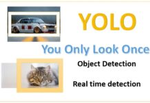Why developers use YOLO for real-time object detection
