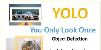 Why developers use YOLO for real-time object detection
