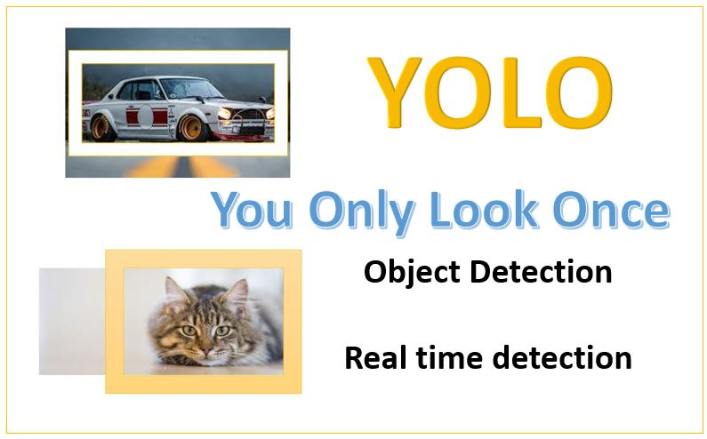 Why developers use YOLO for real-time object detection