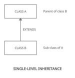 What is Inheritance in Java? - UseMyNotes