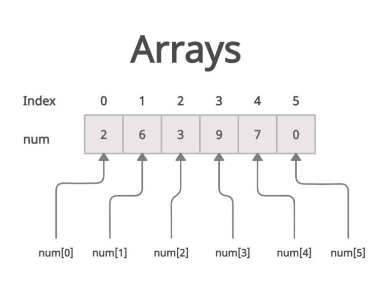 array assignment in java