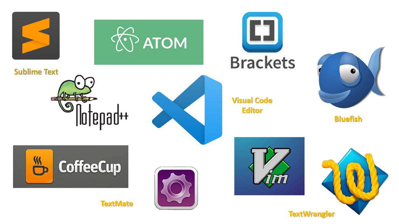 most popular code editor for developers