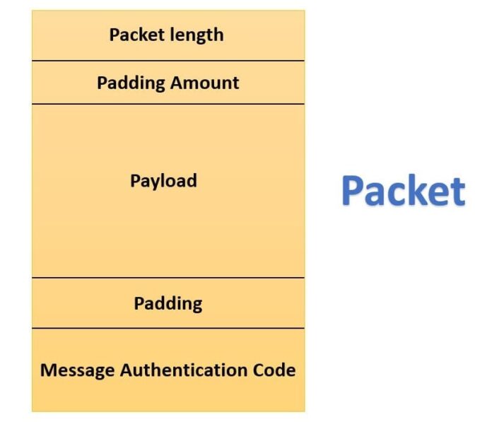 What Is Secure Shell Or (SSH)? - UseMyNotes