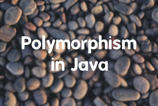 what is polymorphism in java