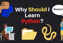 Why Should I learn Python