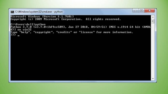 What is Python Interpreter? - UseMyNotes