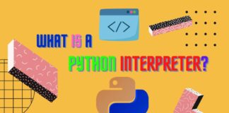 what is python interpreter