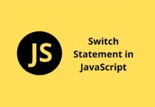 javascript switch statement