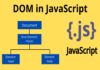 DOM in JavaScript - UseMyNotes