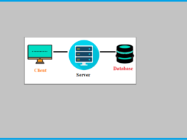 What is DBMS architecture?