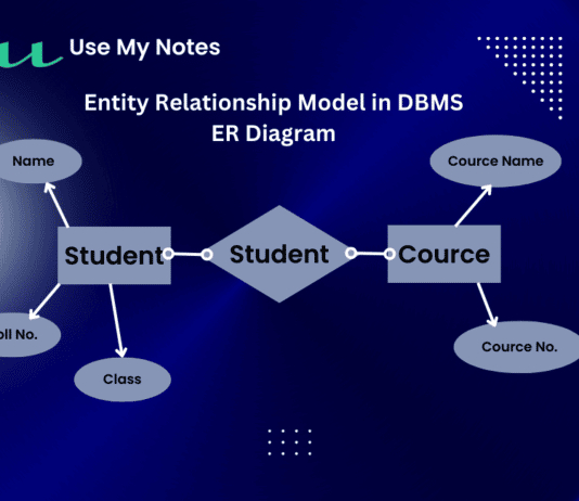 Entity Relationship Model in DBMS ER Diagram