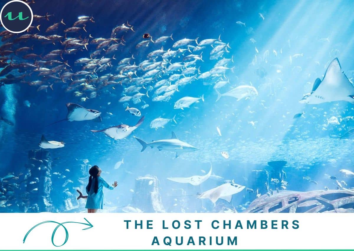 Living Atlantis Under Water - The Lost Chambers Aquarium