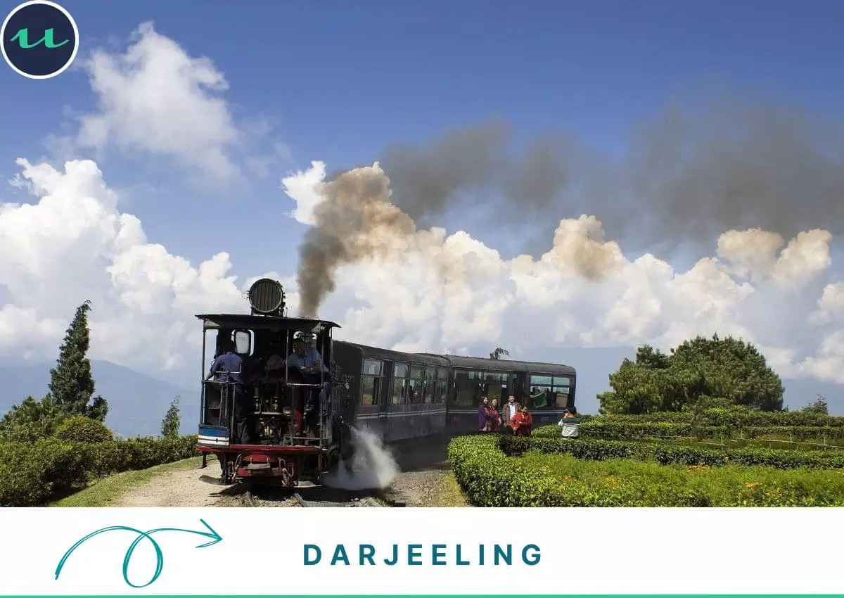 Sweet Queen of the Hills - Darjeeling