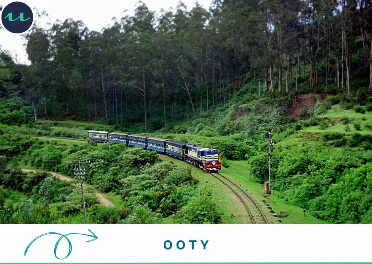 Tranquility Is In The Air - Ooty