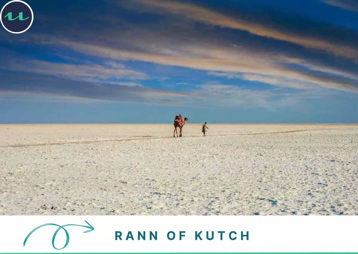 A White Site for the Sore Eyes - Rann of Kutch