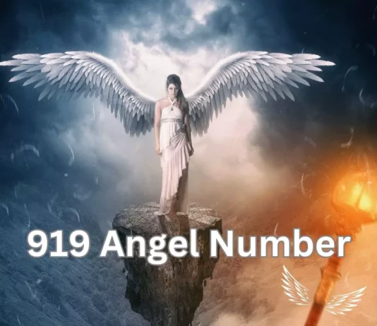919 Angel Number