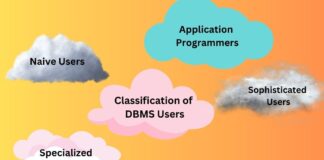 Classification of DBMS Users