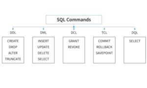 What is SQL in DBMS? - Use My Notes