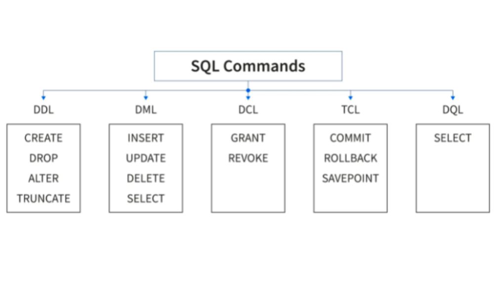 Commands in SQL in DBMS
