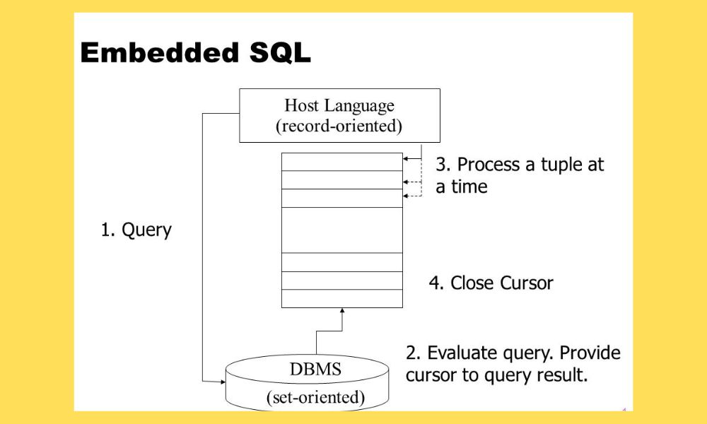 Embedded SQL in DBMS