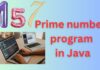Prime number program in Java