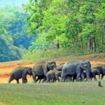 Begur Wildlife Sanctuary