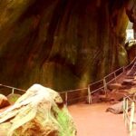 Edakkal Caves