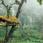 Pakshipathalam Bird Sanctuary
