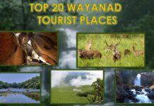 Top 20 Wayanad Tourist Places