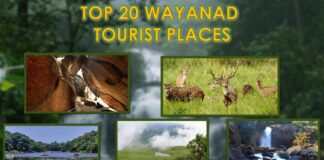 Top 20 Wayanad Tourist Places