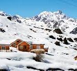 Auli
